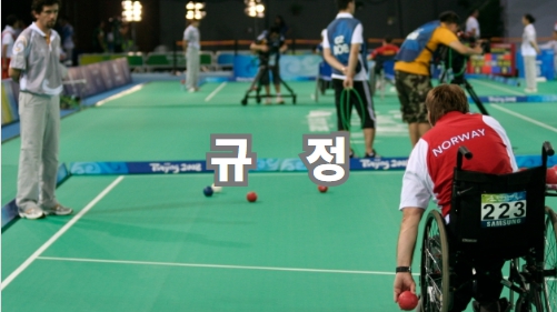 규정